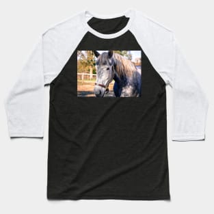 Equine Greeting Baseball T-Shirt
